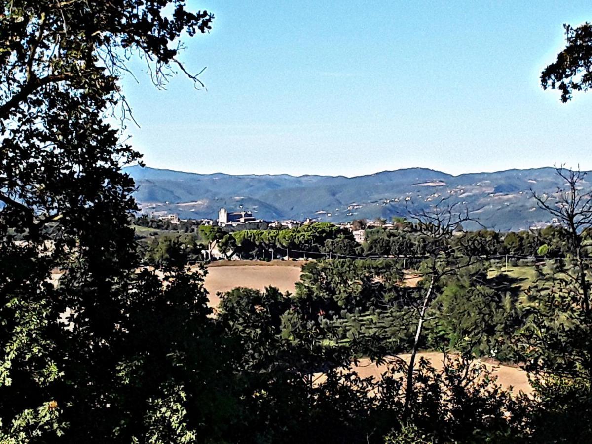 B&B La Lumachella Porano Εξωτερικό φωτογραφία